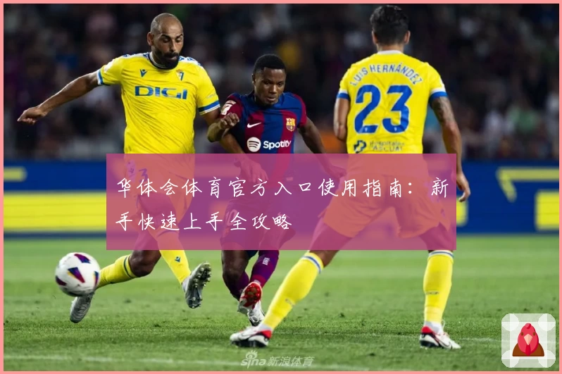 华体会体育官方入口使用指南：新手快速上手全攻略